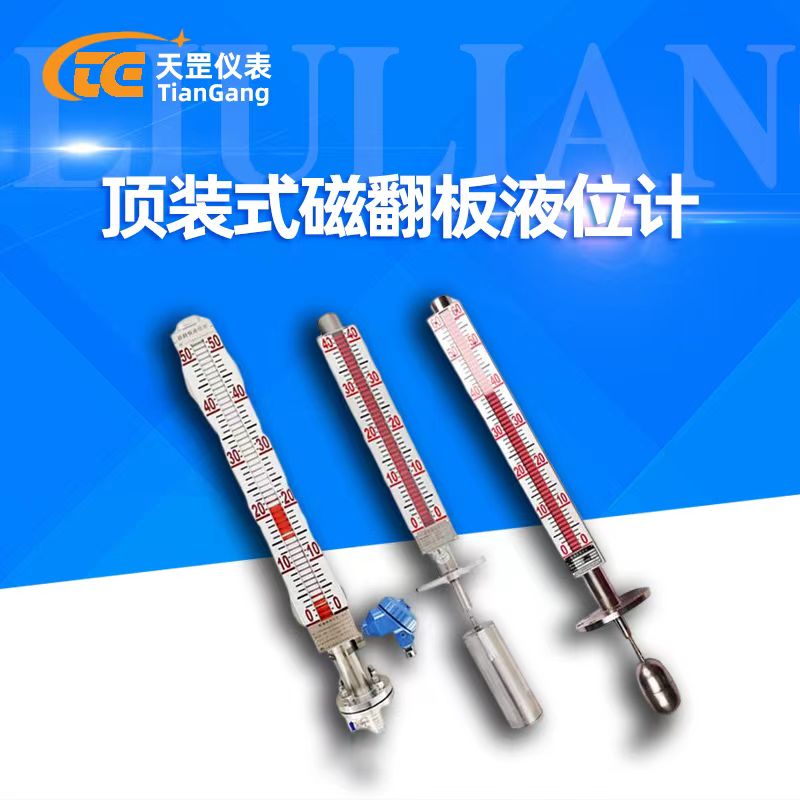 頂裝式磁翻板液位計