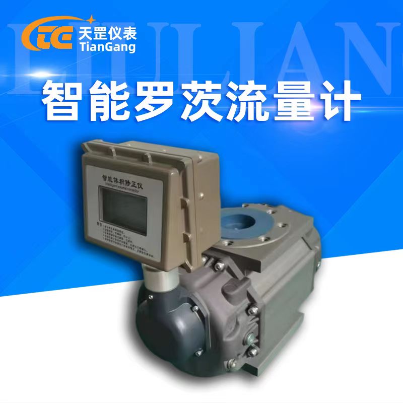 智能氣體羅茨流量計